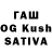 Галлюциногенные грибы GOLDEN TEACHER Gauhar Zakarina