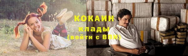 кокс Алексин