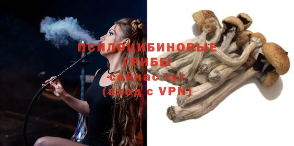 кокс Алексин