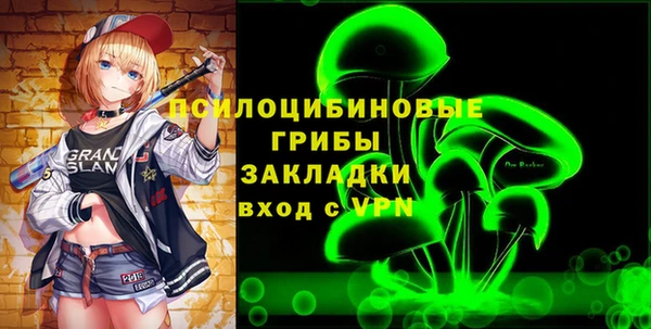 кокс Алексин