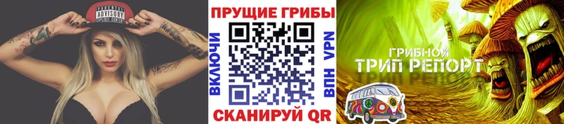 как найти закладки  Нурлат  Псилоцибиновые грибы Psilocybine cubensis 